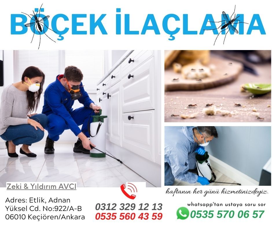 Karakaya Mahallesi Böcek İlaçlama