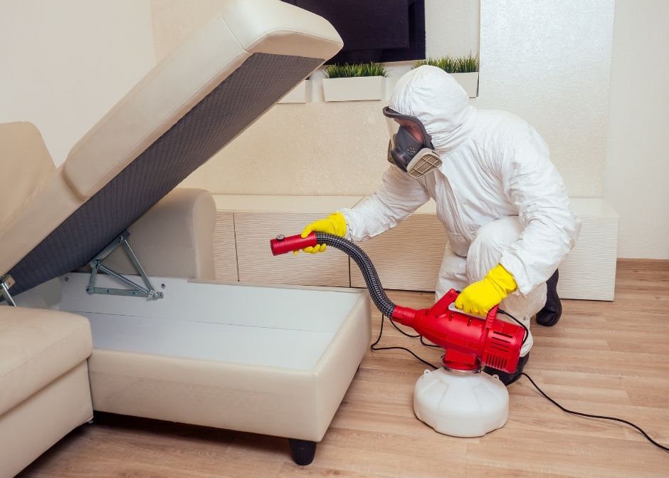 Fatsa Böcek İlaçlama