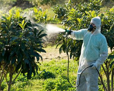 Kırıkhan böcek ilaçlama hizmeti - profesyonel haşere kontrol uygulaması