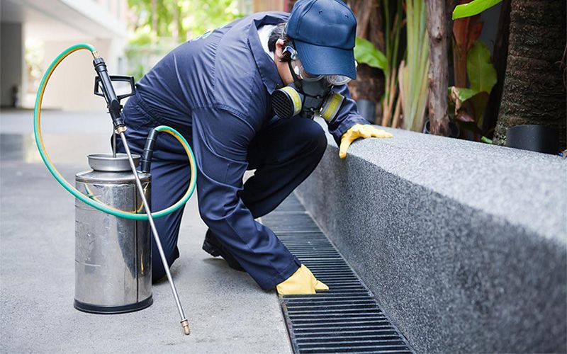 Kızılcahamam böcek ilaçlama profesyonel uygulama görseli