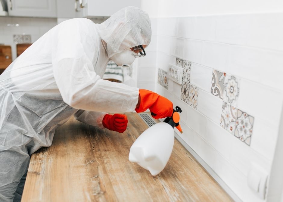 Altınordu Böcek İlaçlama