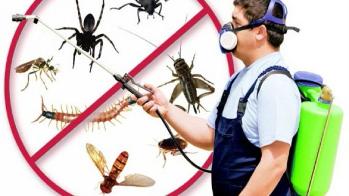 Süleymanpaşa böcek ilaçlama hizmeti - ev ve işyeri ilaçlama